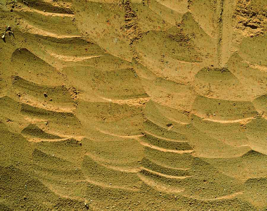 Sand - VisualDisk ></a>
<script language=JavaScript> 
  var txt = 