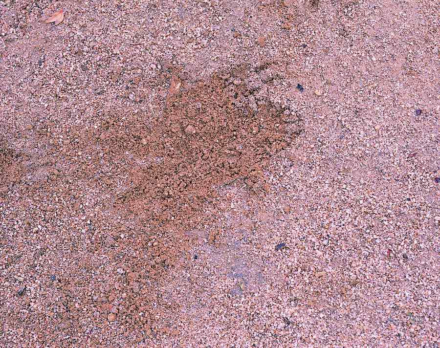 Sand - VisualDisk ></a>
<script language=JavaScript> 
  var txt = 