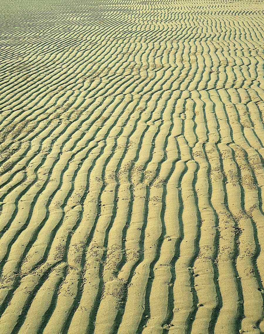 Sand - VisualDisk ></a>
<script language=JavaScript> 
  var txt = 