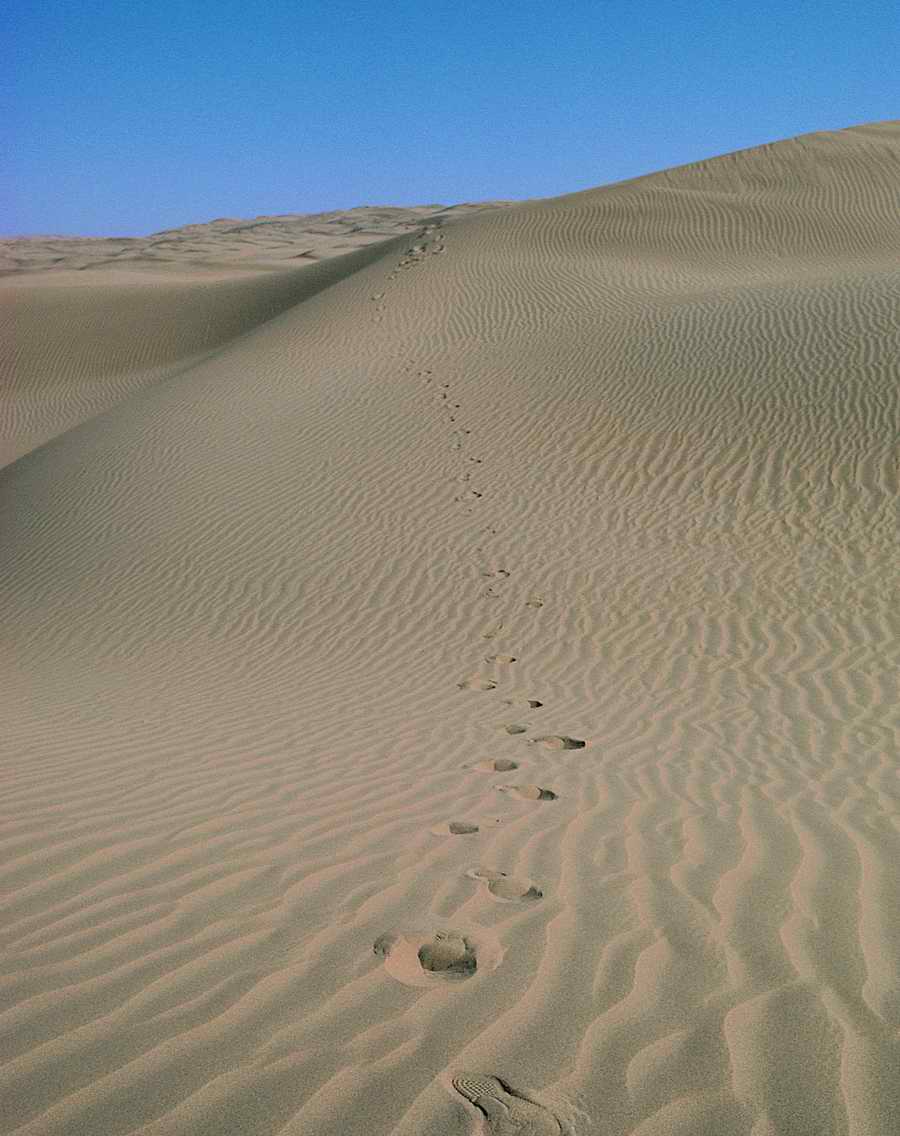 Sand - VisualDisk ></a>
<script language=JavaScript> 
  var txt = 