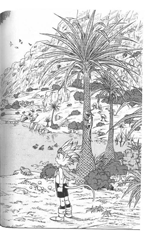 Akira Toriyama: Sandland/  